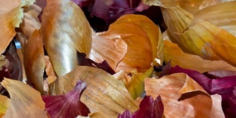 Kako hraniti biljke i cvijeće ljuskom luka, prednosti, pravila upotrebe